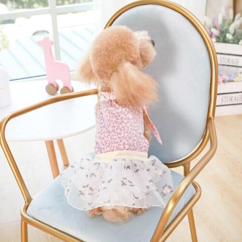 Hoopet Summer Dog Lace Dress Pet Dog Clothes For Small Dog Party Birthday Wedding Dress Puppy Costume Spring Pet Clothes