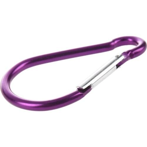 Large D Shaped Aluminum Carabiner Bi-colored Clip Hook for Hiking Camping