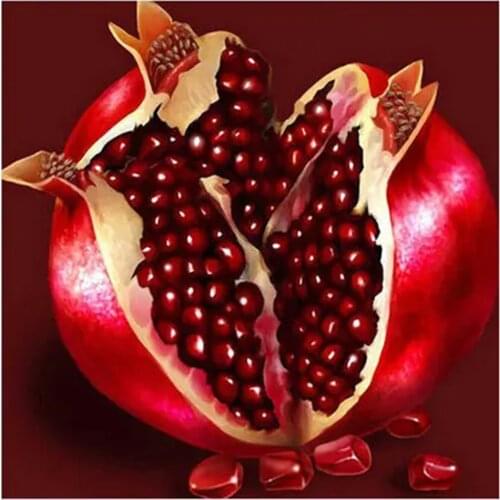 KAMY YI Fruit Pomegranate Landscape Diamond Painting Cross Stitch Full Diamond Embroidered Mosaic 5D Diy Home Decoration