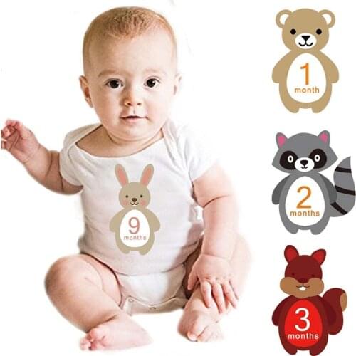 12 Pcs Monthly Stickers Baby Photography Commemorative Card Number Milestone Memorial Sticker Newborn Kid Photo Accessories