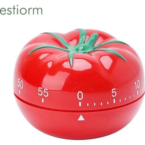 Estiorm Mechanical Timers