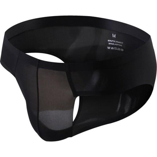 Sexy Gay Underwear Men Brief Shorts Man Solid Semi-transparent Ice Silk Seamless Low Rise Pouch Panties cueca calzoncillo M-3XL