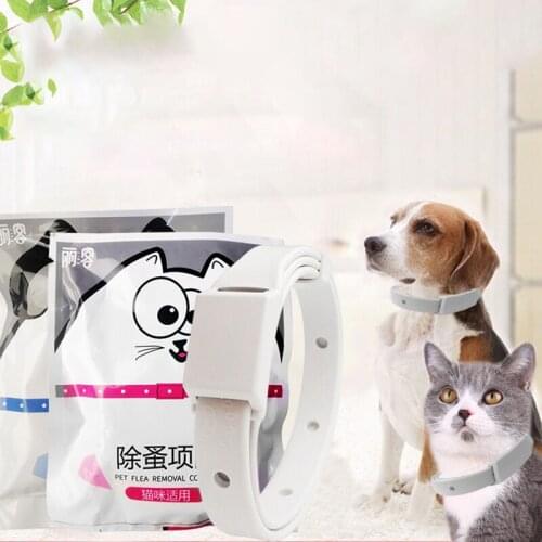 N2HAO Products For Cats