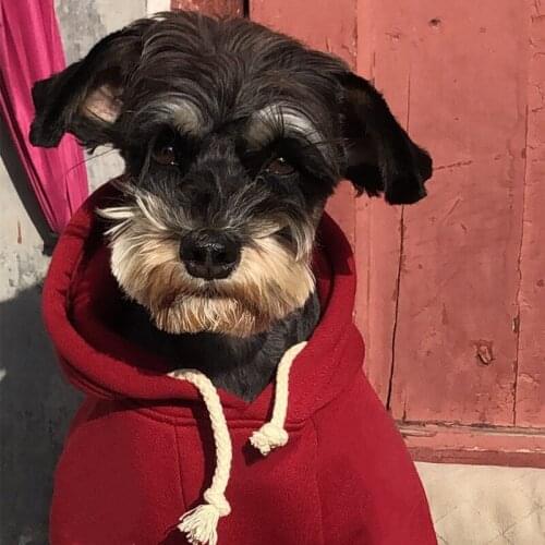 Wine Red Dog Hoodie for Small Medium Dogs Cool Schnauzer Clothes Winter Dog Coat Warm Dogs Pets Clothing Pet Costume A191