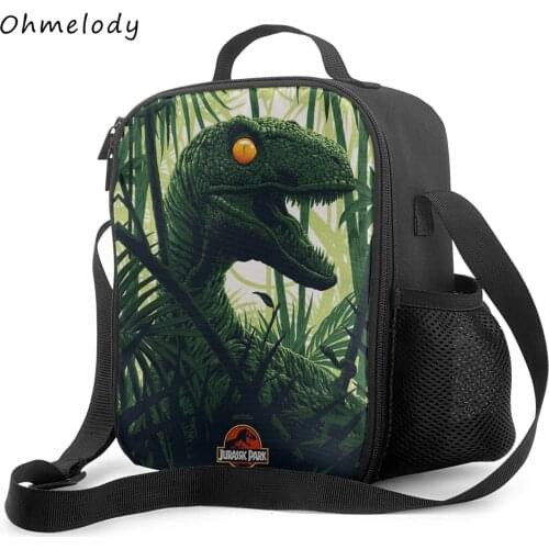 Jurassic Park Dinosaur Boys Lunch Bags Cartoon Crossbody Bags Insualted Cooler Lunch Box for Boys Back to School Lunch Box