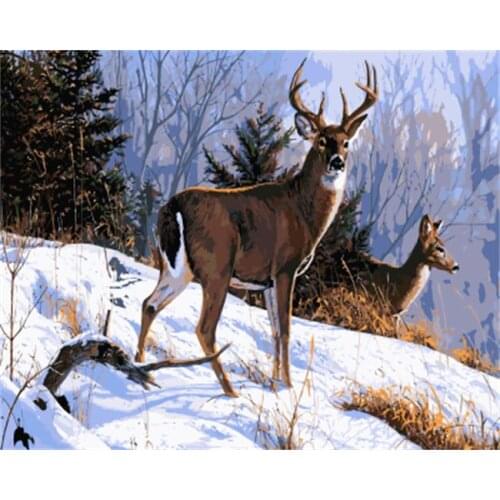 PAINTBOY Framed Pictures Painting By Numbers of Animal Handwork Canvas Oil Painting Home Decor For Living Room