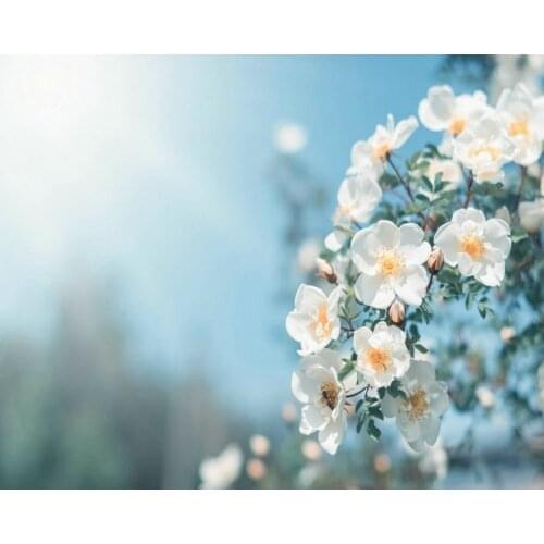 Natural Plant Pear Blossom Birthday Party Backdrop Baby Shower Room Decor Photo Booth Studio Prop