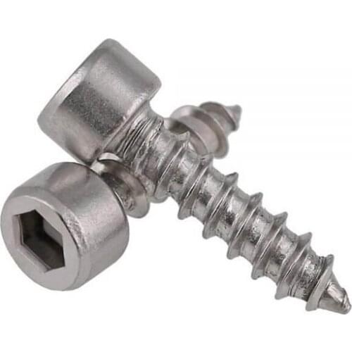 Wkooa Stainless Steel 304 Audio Mold Screws Hex Socket Self Tapping Screws