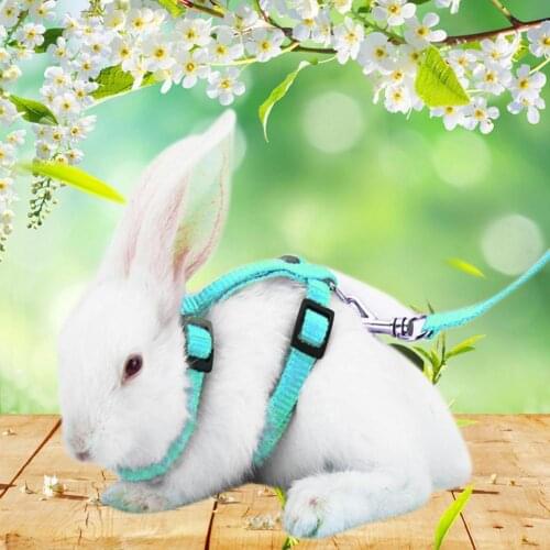 Rabbit Harness Wear-resistant Soft Pet Supplies Lightweight Portable Buckle Design for Guinea Pig