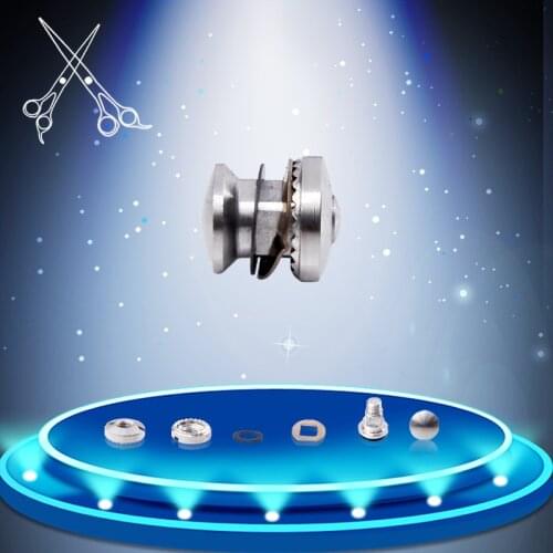 10 sets/lot Stainless Steel Bearing Screw for Hair Scissor Tornillo Parts Hair Salon Shear Scissors Vis De Palier Accessories