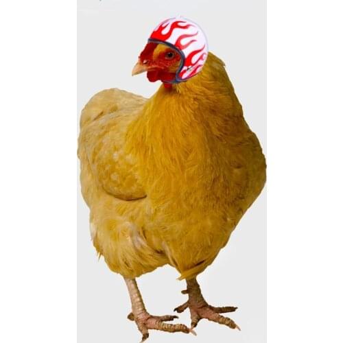 Chicken Helmet Cap Small Pet Protective Gear Sun Rain Protection Helmet Toy Bird Hens Small Pet Supplies Costumes Accessories