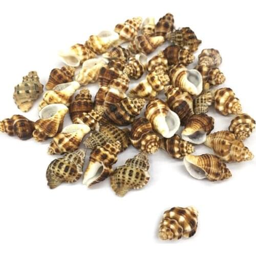 Natural shell fashion conch Pendants Charms Necklace pendant for Jewelry Making DIY Bracelet Necklaces Accessories Size 15x25mm