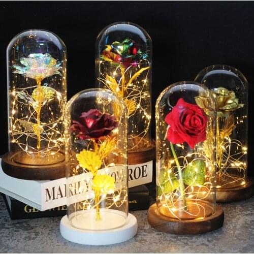 2020 LED Enchanted Galaxy Rose Eternal 24K Gold Foil Flower With Fairy String Lights In Dome For Christmas Valentines Day Gift