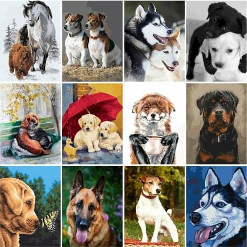 HUACAN Animals Oil Painting By Numbers Dog DIY Hand Painted Wall Art For Adults Coloring By Numbers Gift Home Decor