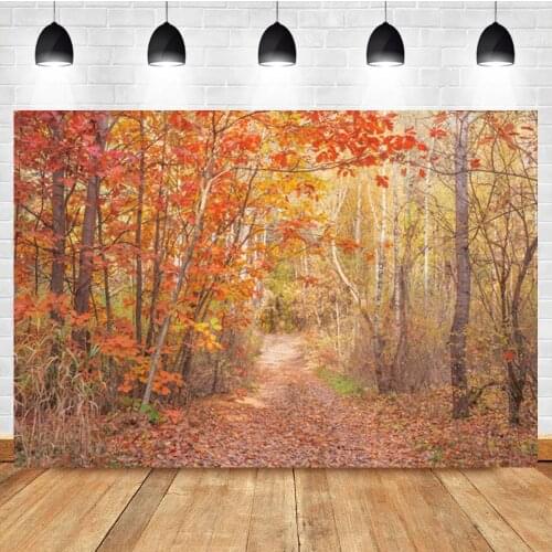 Laeacco Autumn Maple Forest Fallen Leaves Path Photo Photography Background Photographic Photography Backdrop For Photo Studio