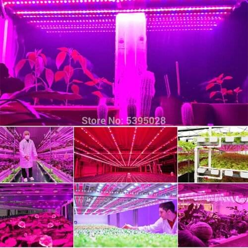 SMD 5050 LED Strip Grow Light Full Spectrum UV Lamps for Plants Waterproof Phyto Tape for Greenhouse Grow Tent 5M DC12v