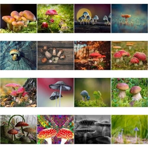 Full Square Round Diamond Landscape Mushroom 5D Diy Diamond Painting Diamond Embroidery Home Decor Gift Cross Stitch Mosaic