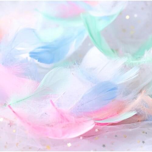 High Quality Natural Feather Colourful Small Goose Feathers 5-10 cm Photography Props Shooting Background DIY Adornment Items