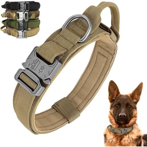 Украшения для животных Goose stone China At AliExpress