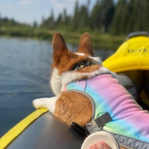 Summer Dog Cooling Vestdog Cooling Clothes Pet Mesh Reflective Vest Strap Release Hot Dog Swimsuit Puppy Vest