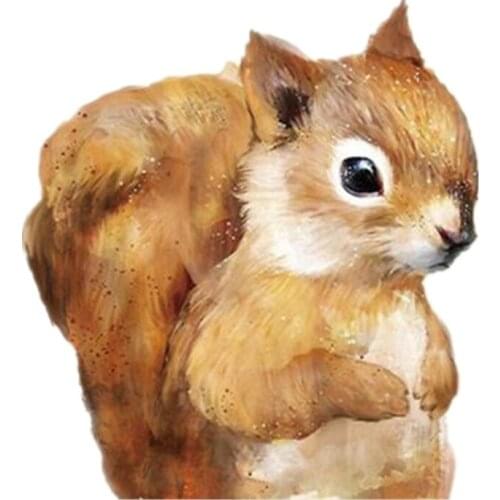 Patch Patches Iron Ons Squirrel Animal Stickers for Clothes Heat Tranfer Clothing Accessories Fashion Pattern Free Shipping