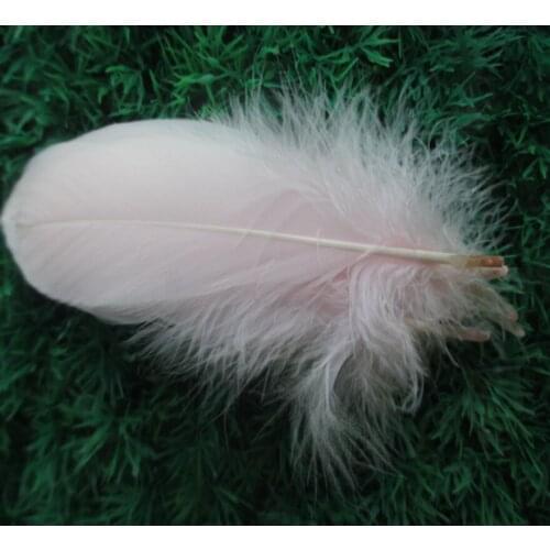 Wholesale perfect 20pcs high quality natural light pink Pheasant feathers 6-8inch/15-20cm Decorative diy