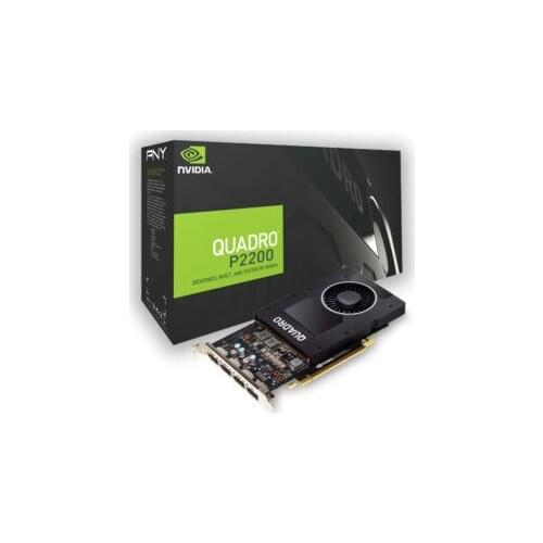 PNY NVIDIA Quadro P2200 VCQP2200-PB 5 GB GDDR5X 160 Bit Ekran Kartı