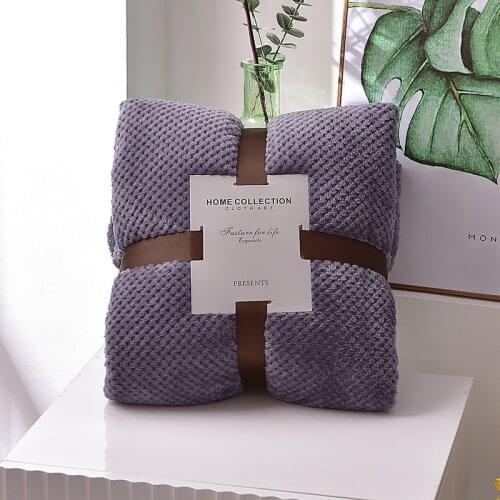 All Season Popular Student Dormitory Blanket Plaid Women Manta Coral Fleece Home Blankets Pets Cat Covering