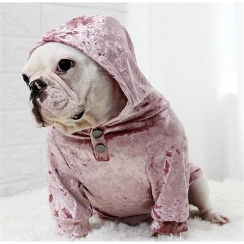 Pet Dog Clothes Hoodie Spring Autumn Summer Dog Clothing Cat Chihuahua Yorkshire Pomeranian Schnauzer Pug French Bulldog Costume