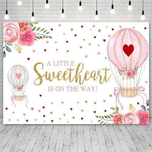 Avezano Backgrounds Birthday Party Baby Shower Pink Hot Air Balloon Sweetheart Flower Decor Girl Banner Backdrops Photo Studio