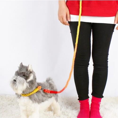 1.2M 1.5M Dog Leash Rope Gradient Colorful Hand-dyed Woven Cotton Rope Fashion Dog Pet Supplies Personalized Basic Leashes