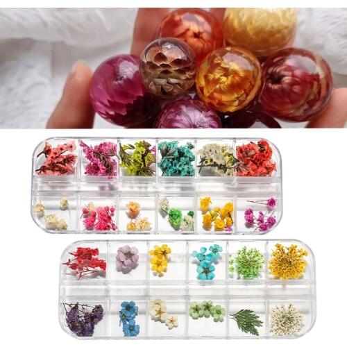 1box Colorful Real Dried Flower Plant For Aromatherapy Candle Epoxy Resin Molds DIY Jewelry Making Home Craft Nail Art Decals