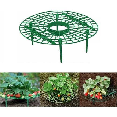 Plant Plastic Tool Strawberry Growing Circle Support Rack Plant Climbing Vine Stand Harvest Frame Lightweight Removable Racks