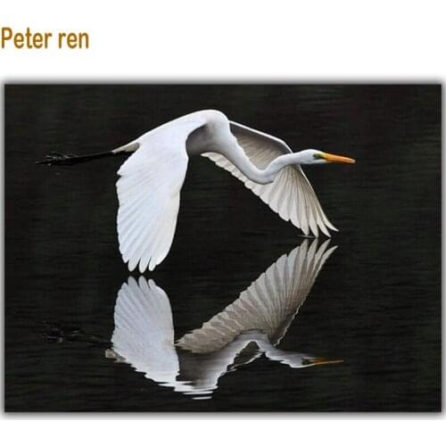 Peter ren Diy diamond painting kit Diamond Embroidery White crane 3d square Diamond Mosaic pasted full cross stitch Needlework