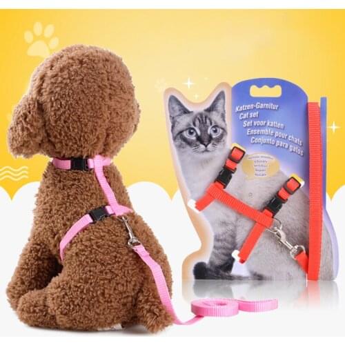 Portable cat products for pets harness pets accessories for cat leash and harness gatos accesorios dla kota small dog harness