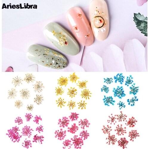 AriesLibra 10pcs Star Cluster Flower 3D Nail Art Dried Flower Real Preserved Flowers Decoration Manicure Nail Decal Accessories