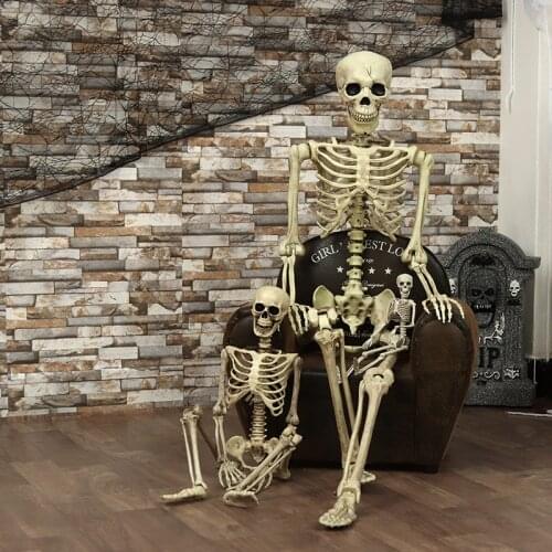 Halloween Prop Skeleton Full Size Skeleton Skull Hand Lifelike Human Body Poseable Anatomy Model Party Festival Decoration