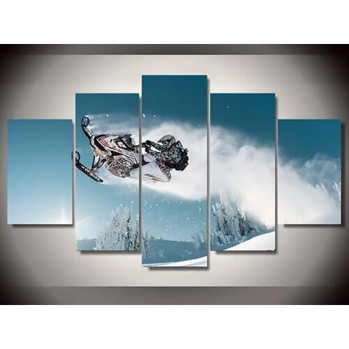 SKI DOO FREERIDE - 5 PIECEPAINTING