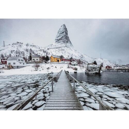 Snow Mountain Lake Bridge Photographic Background Custom Backdrops Photo Studio for Children Baby Portrait Scenic Photophone