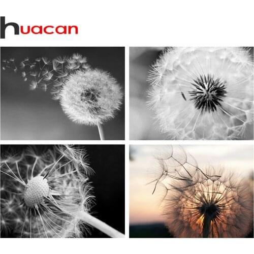 Huacan 5d Diamond Art Painting Dandelion DIY Diamond Mosaic Sale Landscape Embroidery Sale Craft Kit