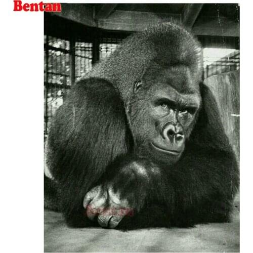 Diy Daimond mosaic sale diamant Embroidery 5D Diamond painting Animal gorilla Cross Stitch kits home decoration wall stickers