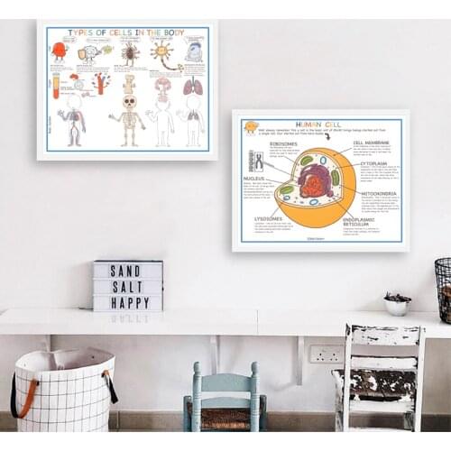 Hyman Body Cell Preschool Activities Posters and Prints Homeschool Anatomy Activity Art Canvas Painting Kids Room Wall Decor