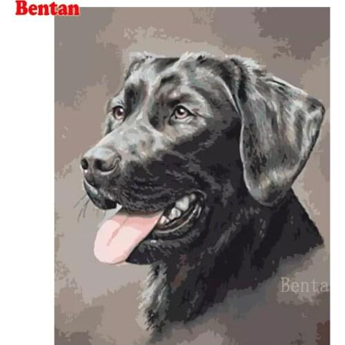 5D Diamond Painting Labrador Pet Dog Portrait Full Square Round Drill Diy Diamond Embroidery Cross Stitch Kit Rhinestone Decor