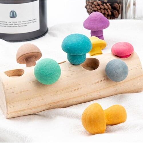 Wooden Rainbow Blocks Mushroom Picking Game Montessori Educational Baby Toys Developmental Shape Matching montessori wooden toy