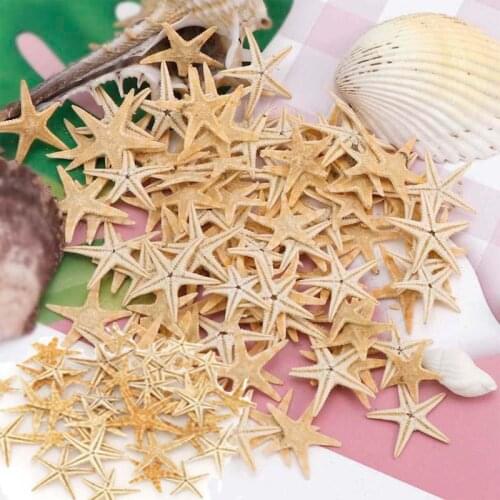 New Natural Starfish Shell Beach Crafts 50/100pcs 1-2cm Natural Starfish DIY Beach Wedding Decoration Crafts Home Decoration