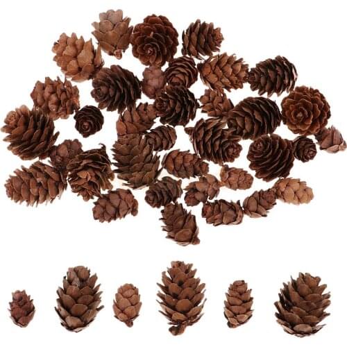 MagiDeal 50Pcs Mixed Size Mini Natural Rustic Dried Pine Cones In Bulk For Christmas Party Ornament Florists Wrapping Decoration