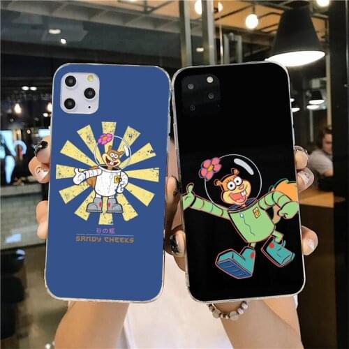 CUTEWANAN Cute Sandy Cheeks Coque Shell Phone Case for iPhone 11 pro XS MAX 8 7 6 6S Plus X 5S SE 2020 XR cover