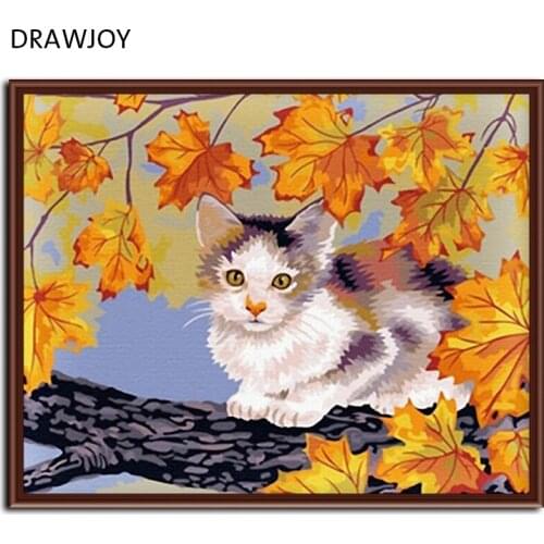 DRAWJOY Cat Framed Picture DIY Painting By Numbers Acrylic Painting On Canvas Wall Art For Home Decor 40x50