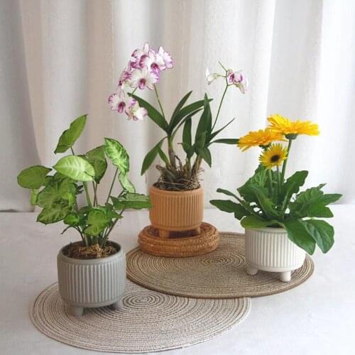 Modern Combination Succulent Flower Pot Ceramic Nordic Garden Cylindrical Small Potted Flower Pot Desktop Plant Home Decoration