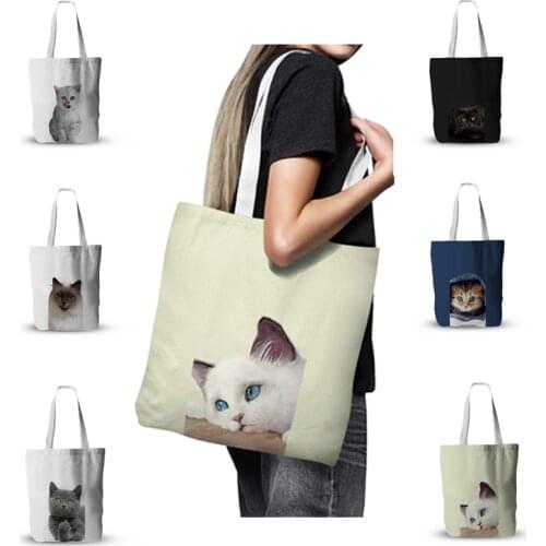 Cute Cat Pattern Eco-friendly Ladies Handbag High Quality Beach Shoulder BagOutdoor Beach Bag Everyday Handbag For Women